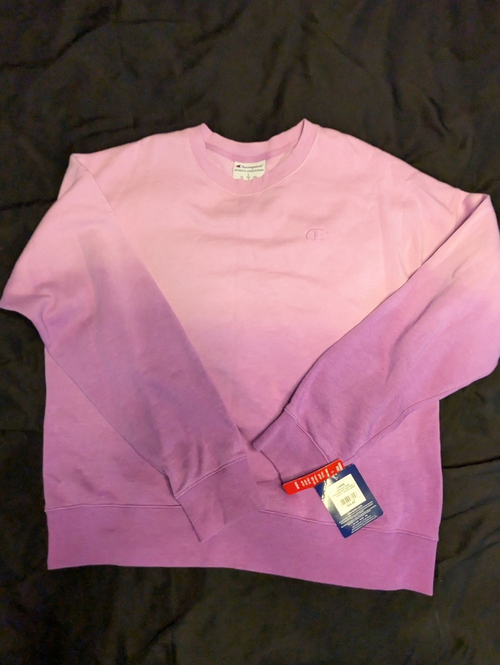 Champion Women's Ombre Crewneck Sweatshirt - Light Pink to Purple